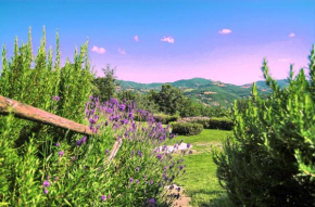 Agriturismo La Castellana Assisi
